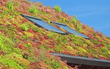 Pitgrudy living roof systems