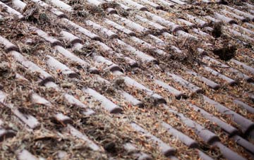 Pitgrudy roof cleaning companies