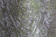 Pitgrudy fibreglass roof work